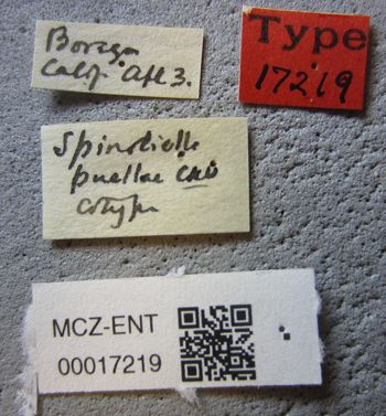 Media type: image;   Entomology 17219 Aspect: labels